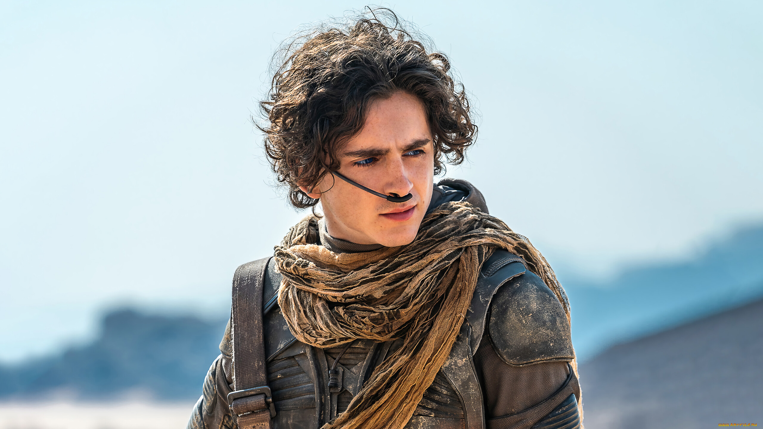 dune,  part two ,  2024 ,  ,  part two, paul, atreides, timothee, chalamet, , , , , , 